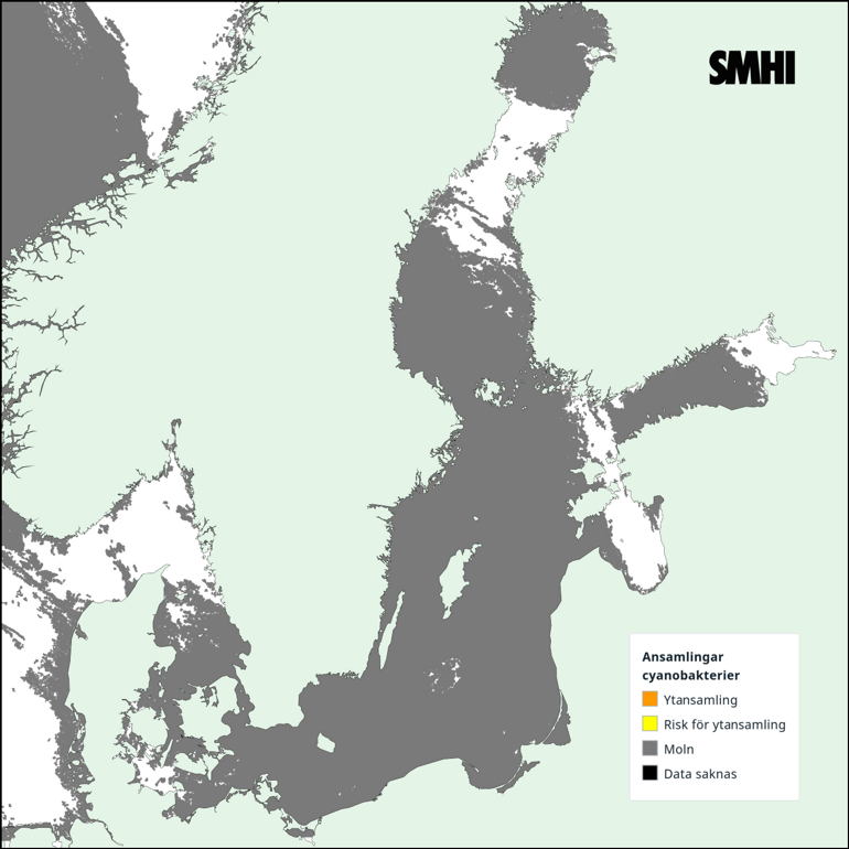 Tolkning av satellitkarta över Egentliga Östersjön 11/8. Källa: SMHI