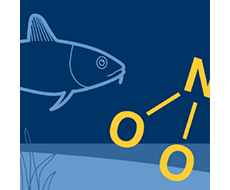 Tecknad ikon för miljömålet Ingen övergödning med en fisk som simmar längs havsbottnen.