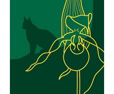 Tecknad ikon för miljömålet Ett rikt växt- och djurliv med en stiliserad blomma och siluetten av en lokatt.