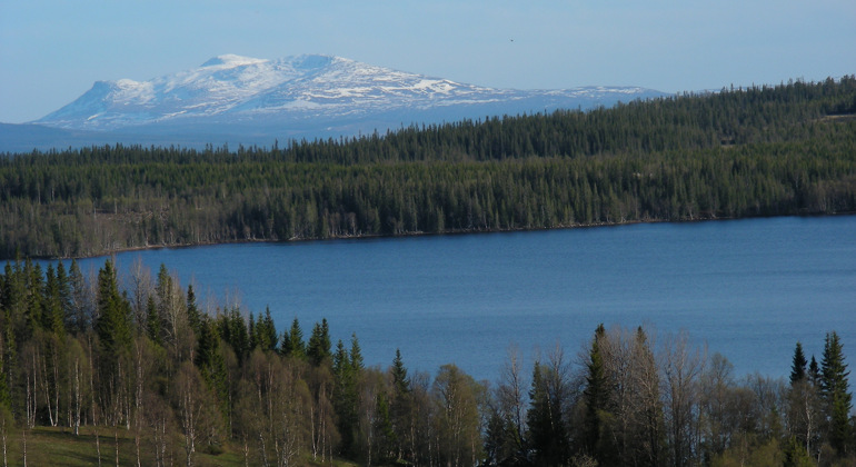 Skog och sjö med snötäckta fjälltoppar i bakgrunden.