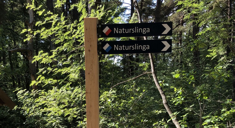 Vägvisande skylt i skogsmiljö. Två vandringsleder är utmärkta. Ena rödvit och andra blåvit. Båda heter Naturslinga.