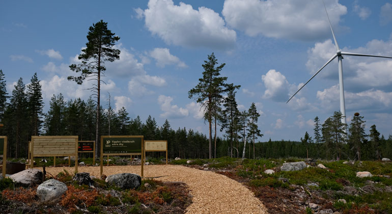 Landskapsbild över vindparken. Det syns informationsskyltar, skog och vindsnurror. 
