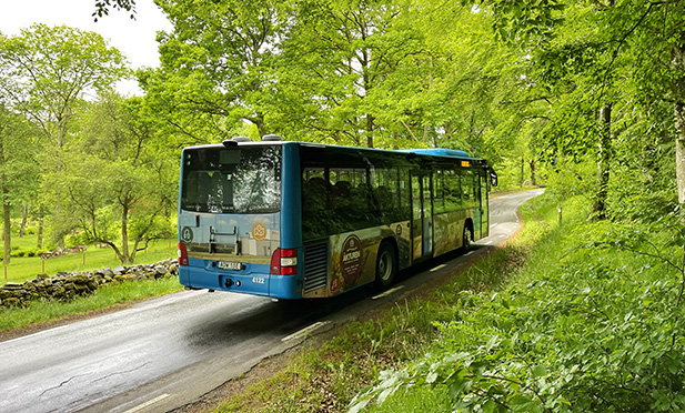 Buss som kör genom bokskog