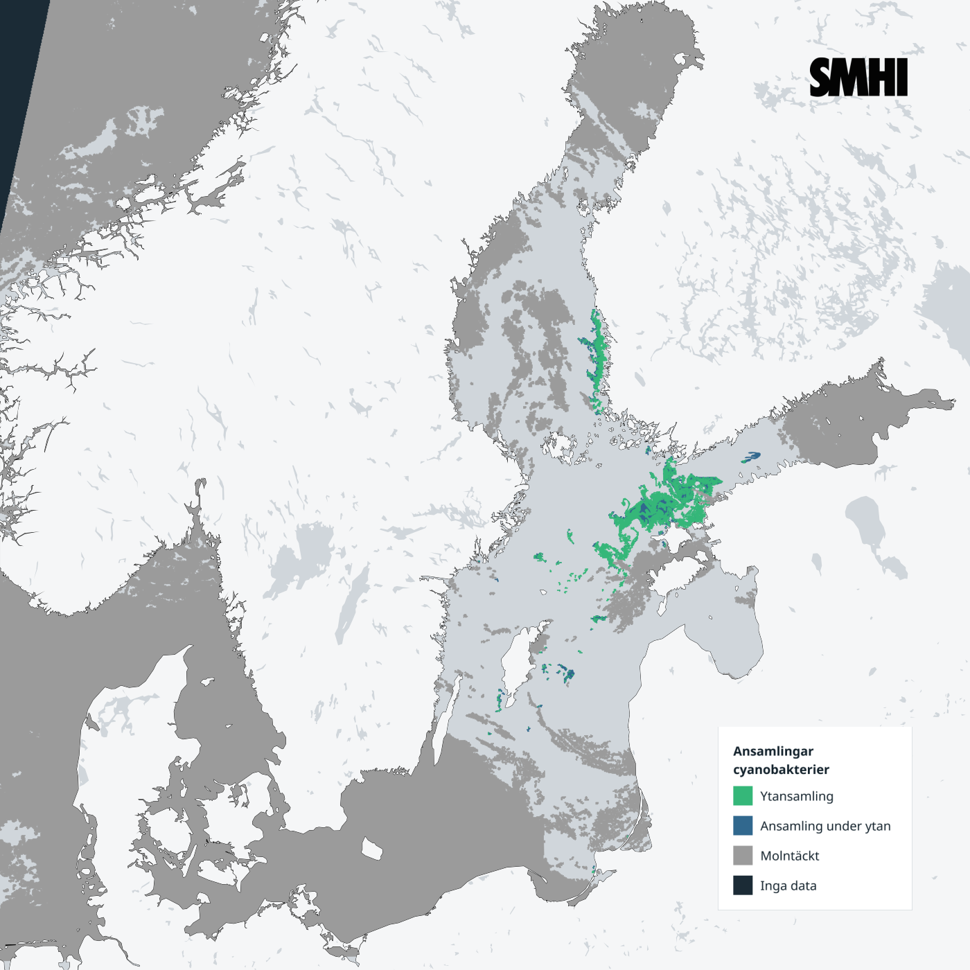 Cyanobakterier från sydöstra till norra Östersjön, Finska viken och Skärgårdshavet. SMHI.