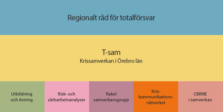 Organisationsschema för T-sam