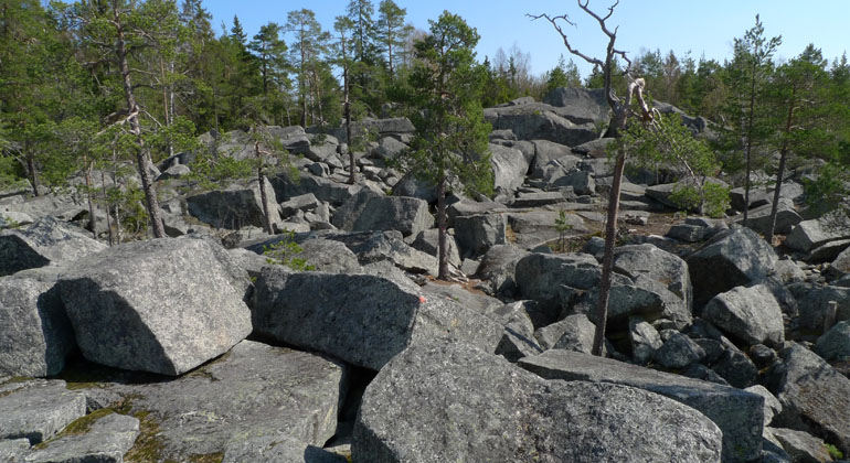 Under myllret av stora stenblock döljer sig Bodagrottorna kamrar. Foto: Länsstyrelsen Gävleborg