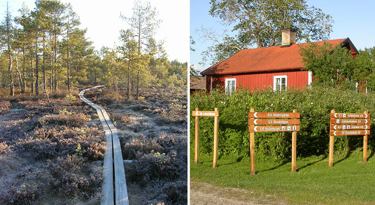 Lägergården Risön och spång över myr i naturreservatet Florarna