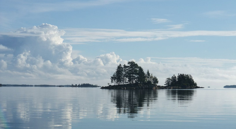 Utsikt över Axmar naturreservat. Foto: Länsstyrelsen Gävleborg