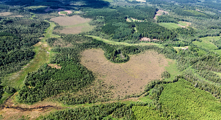 Flygbild över Djurholmamossen med omnejd. Foto: Bergslagsbild AB