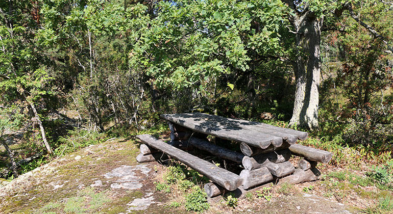 Ett picknickbord på en stenhäll, träd i bakgrunden.