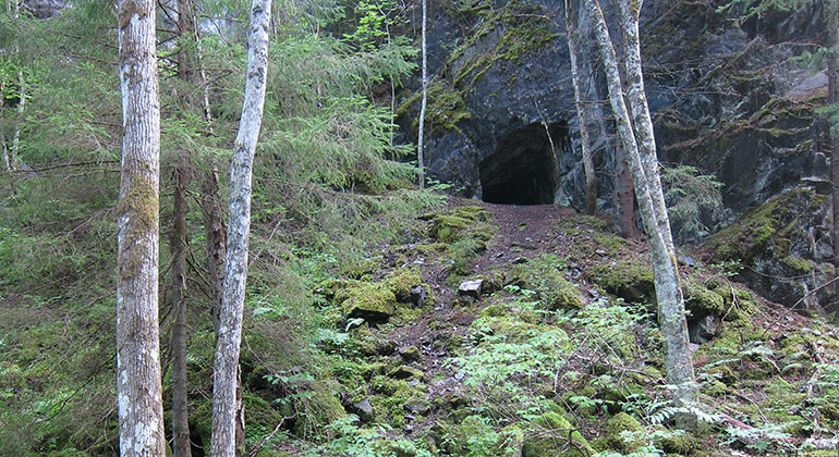 Ett berg med en öppning in i berget, en liten stig leder fram till öppningen, skog utanför.