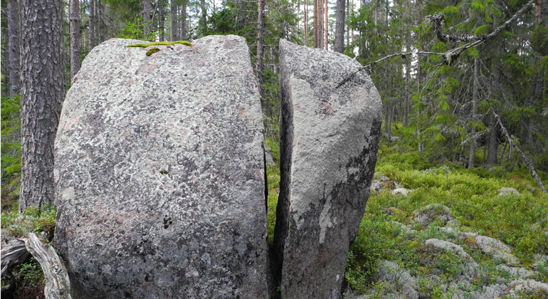 Ett stort stenblock som har delats i två delar, ligger i en barrskog.