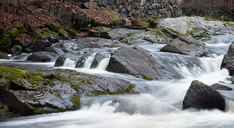 En fors där vattnet forsar fram bland stenar i olika storlekar.