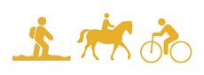 Symbol vandra, rida, cykla gul