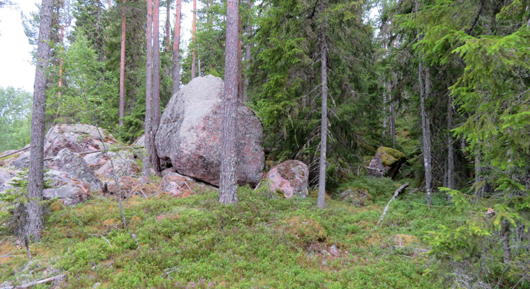 En blockrik och stenig terräng varav en jättestor sten i en skog
