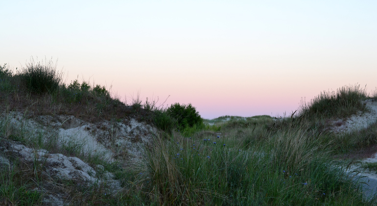 Sanddyner i solnedgång. Foto: Mostphotos