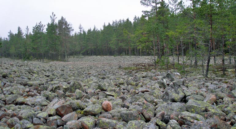 Stora klapperstensfältet i Söderåsens naturreservat. Foto: Länsstyrelsen Gävleborg
