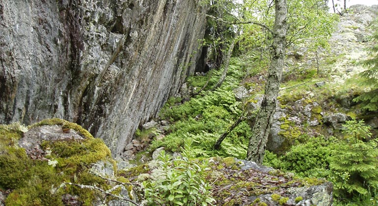 Sida av stort stenblock med moss- och lavtäckta stenar i förgrunden och en trädstam
