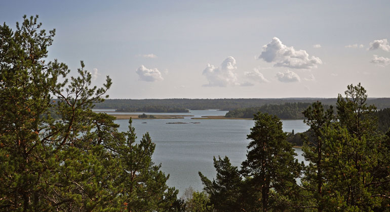 Utsikt från Kasberget i Tullgarns naturreservat. Träd i förgrunden, utsikt över vatten och skogklädda öar. Foto: Länsstyrelsen