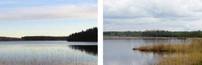 Multen (Lekebergs kommun) som är en näringsfattig klarvattensjö visas på den vänstra bilden. Sjön Lången (Örebro kommun) som är en grund näringsrik sjö i slättbygden visas till höger. Lägg märke till skillnaden i täthet hos strandvegetationen. Foto: Länsstyrelsen i Örebro län.