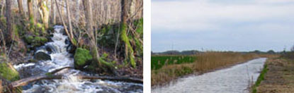Gammelhyttebäcken i Kilsbergen på vänster bild. Ett rätat och kanaliserat vattendrag i jordbrukslandskapet i Kvismaredalen på höger bild. Foto: Länsstyrelsen.