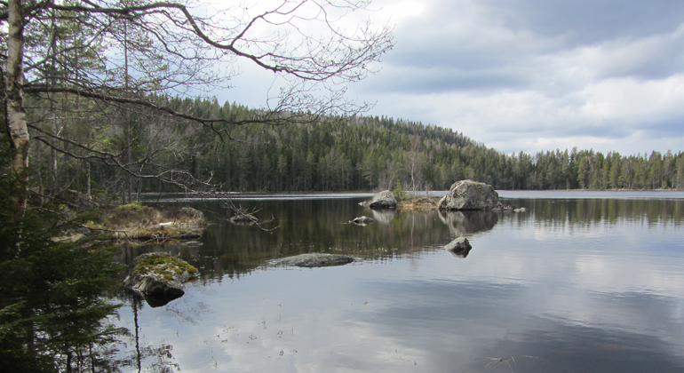 Sjön Ysens blanka yta i Ysberget-Laxtjärnsbergets naturreservat. Foto: Länsstyrelsen Gävleborg