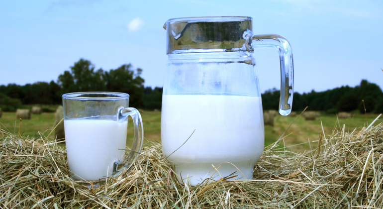 Glas och kanna med mjölk i som står på en höbal framför en åker. 