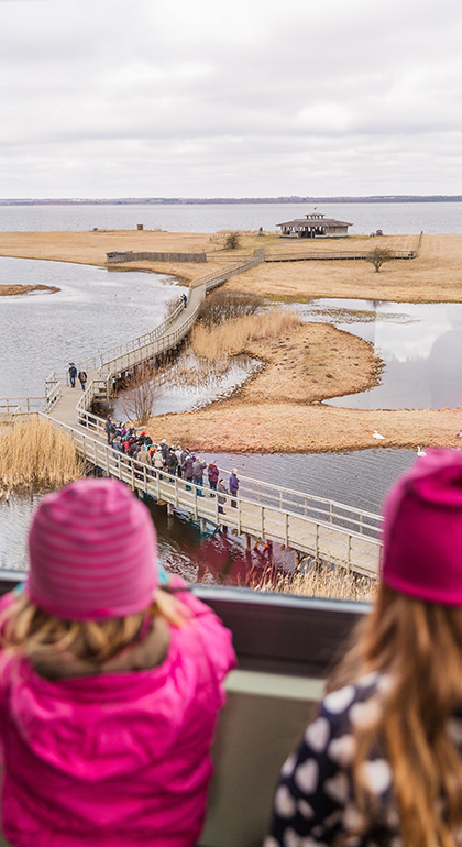 Två barn tittar ut över Hornborgasjön. Foto: Jesper Arnhede.