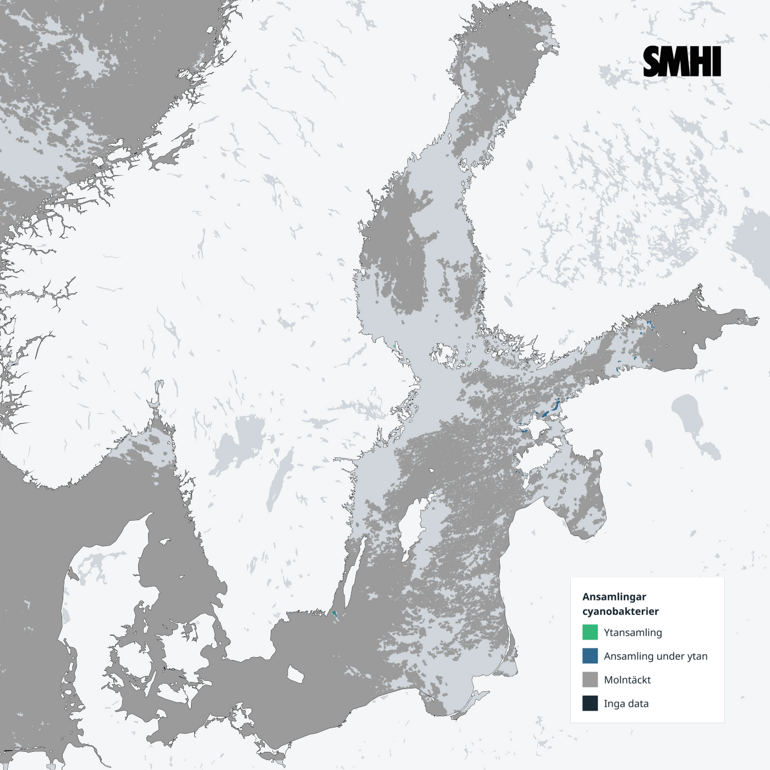 Till stor del molntäckt Östersjön och inga observerade blomningar av cyanobakterier. 