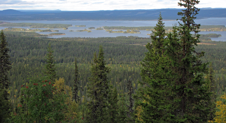 Bilden visar utsikt över skogar, berg och sjöar. Foto: Länsstyrelsen Norrbotten