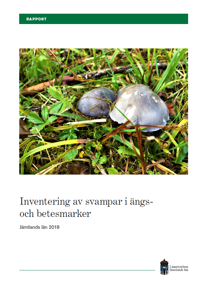 Publikationens omslagsbild