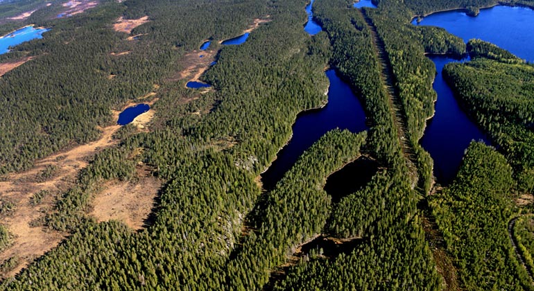 Blå sjöar och vattendrag i grön skogsmatta sett från ovan
