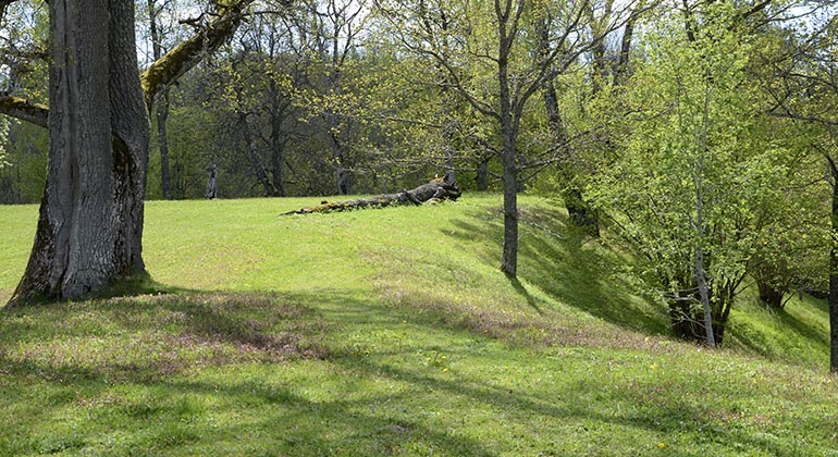 Böljande slåtterängar i vårgrönska, en skarp sluttning skymtar till höger