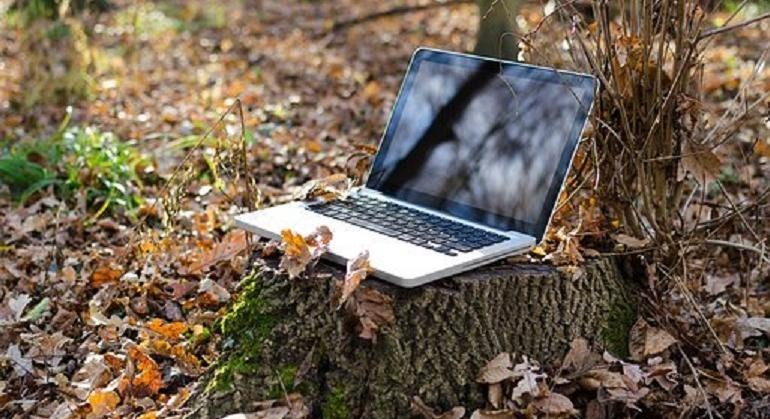 En bärbar dator som står öppnad på en stubbe i skogen. 