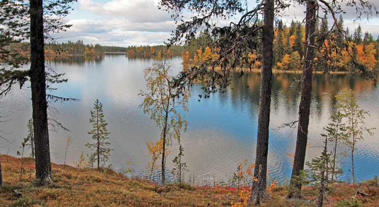 Bilden visar sjön Låjssa omgiven av skog i höstfärger.