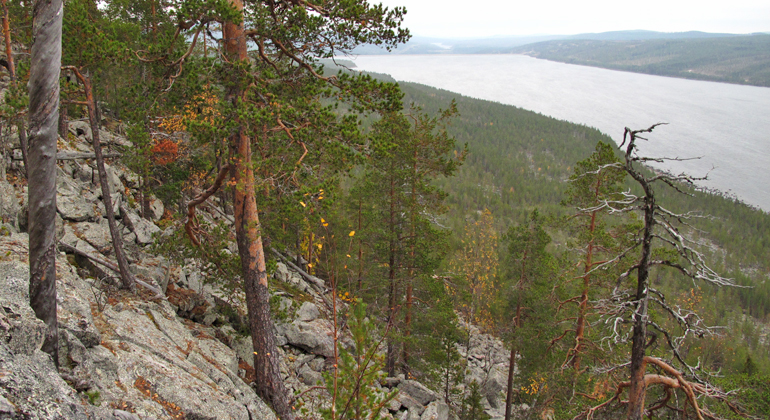 Bilden visar utsikten över Stora Luleälv från Njietjagårsså. Foto: Länsstyrelsen Norrbotten