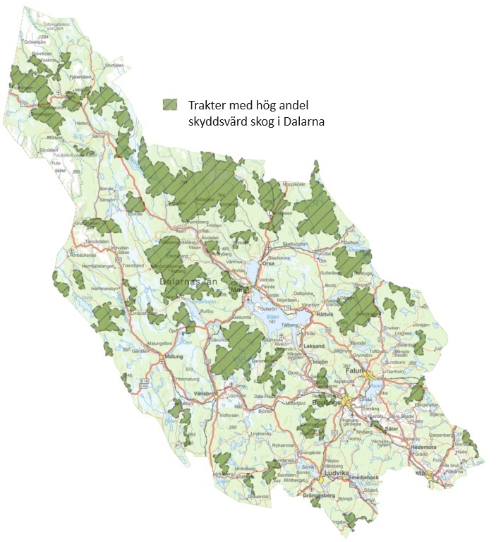 Karta över Dalarna med markeringar som visar trakter med hög andel skyddsvärd skog. Trakterna är spridda över hela länet, men är mer sammanhängande i de centrala och norra delarna.