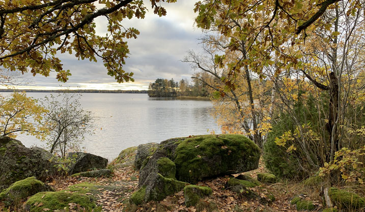 Sjöglimt från Hasselhorns naturreservat i Stockholms län. Foto: Länsstyrelsen Stockholm