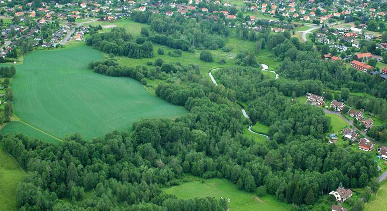 Flygbild över ett grönområde, där man ser bostadshus runtomkring.
