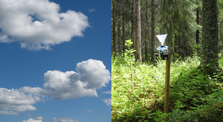 Tvådelad bild. I bilden till vänster en blå himmel med vita moln och i den högra ett insamlingskärl för regnvatten.