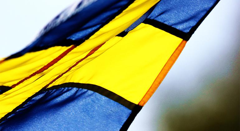 En svensk flagga