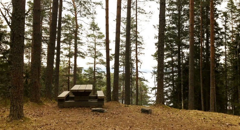 Rastplats i skoglig miljö med utsikt över Yngen.