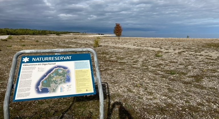Skylt med föreskrifter för naturreservatet Digerhuvud i kal strandmiljö.