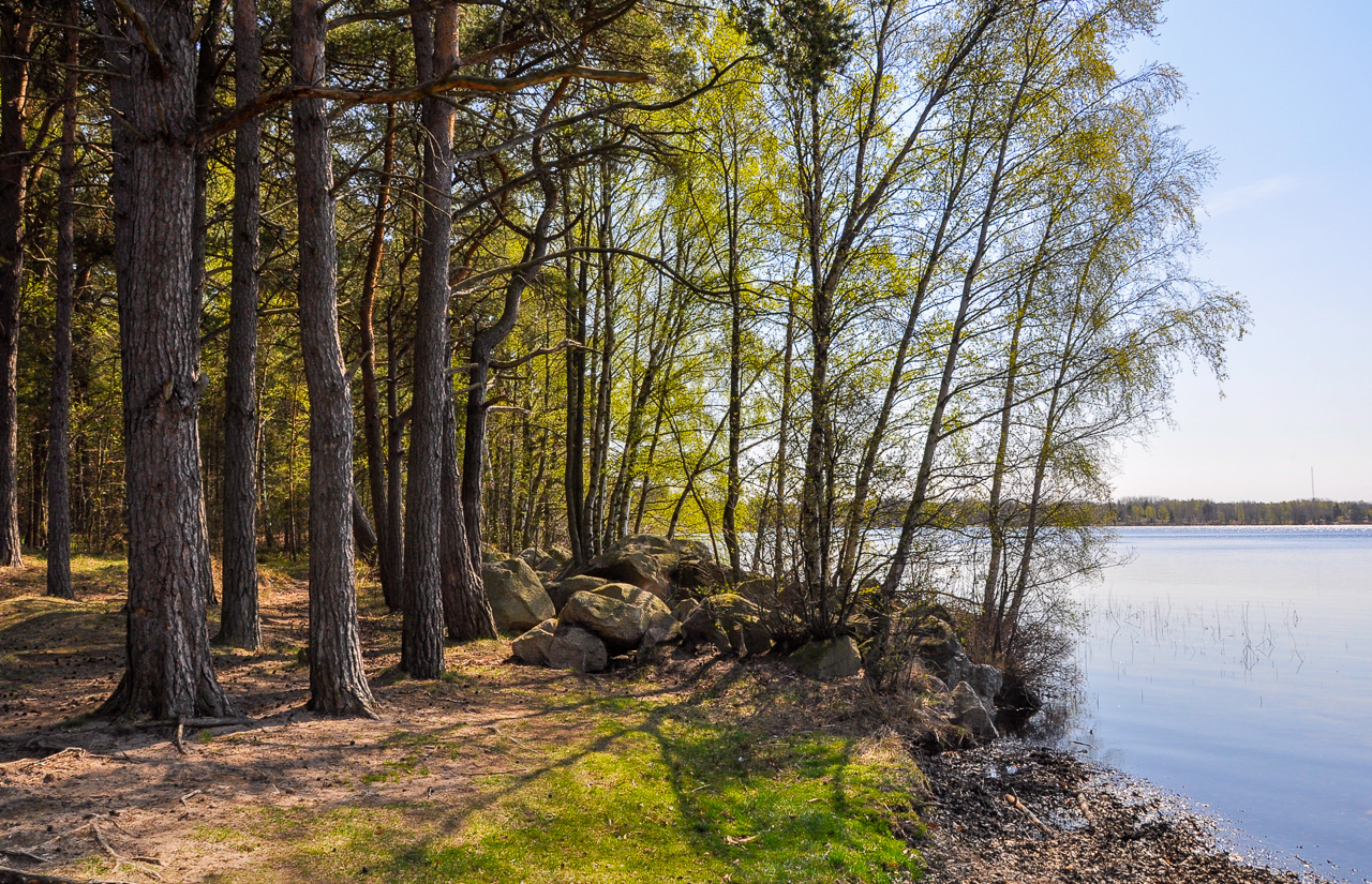 Färskesjön i nordost. Foto Robert Ekholm/Länsstyrelsen