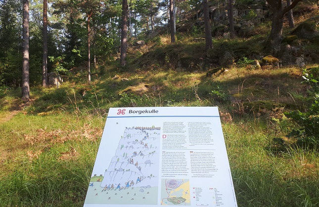 En informationstavla som det står Borgekulle på, med text och en illustration av ett högst berg. I bakgrunden foten av ett berg, gräs och trädstammar.