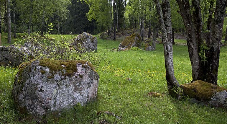 Öppen gräsmark omgiven av skogsdungar och stenblock