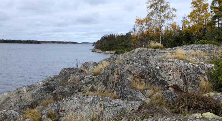 Stålgrått hav. I förgrunden och till höger i bild syns klippor och höstgula björkar. Fårholmens naturreservat. Foto: Naturföretaget