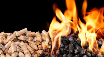 Burning Wood Pellets. Wood pellets are a type of wood fuel.