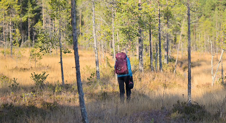 Blond kvinna i vandringskläder gående i en skog