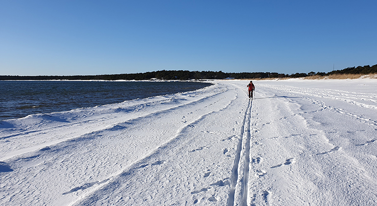 En snötäckt strand med öppet vatten till vänster i bild. En ensam skidåkare med röda kläder stakar sig fram mot kameran.